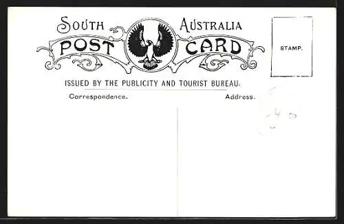 AK Mr Lofty Ranges, A Typical Valley