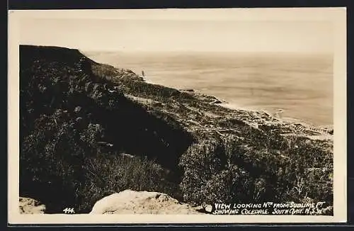 AK Sublime Pt., View looking North showing Coledale