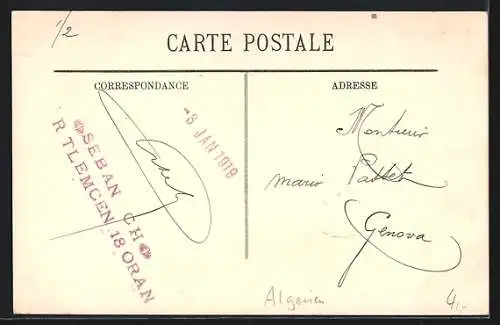 AK Alger, Une Allée dans le Jardin d`Essai