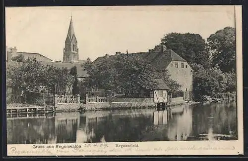 AK Regenwalde, Blick über die Rega