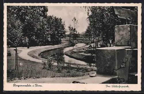 AK Regenwalde, Im Schlosspark