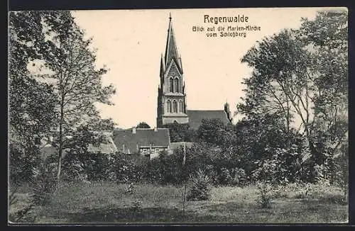 AK Regenwalde, Blick auf die Marien-Kirche vom Schlossberg