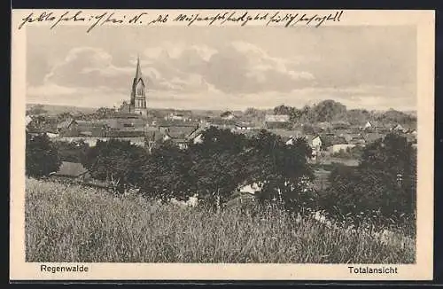 AK Regenwalde, Gesamtansicht mit Kirche