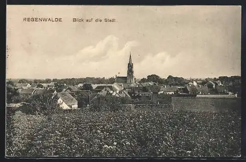 AK Regenwalde, Blick auf Stadt und Kirche