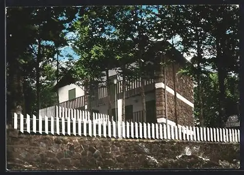 AK Abbadia S. Salvatore, Ansicht einer Villa auf dem Amiataberg