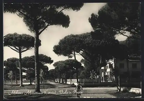 AK Milano Marittima, Viale in Pineta