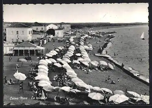 AK Cecina Mare, La spiaggia