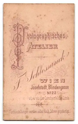 Fotografie F. Schlossareck, Wien-Josefstadt, Blindengasse 22, Junge Dame mit Hochsteckfrisur