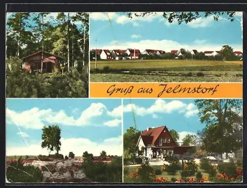 AK Jelmstorf, Geschäft, Ortsansicht, Heidelandschaft