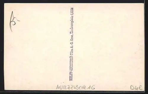 AK Mürzzuschlag, Teilansicht mit Pretulalpe