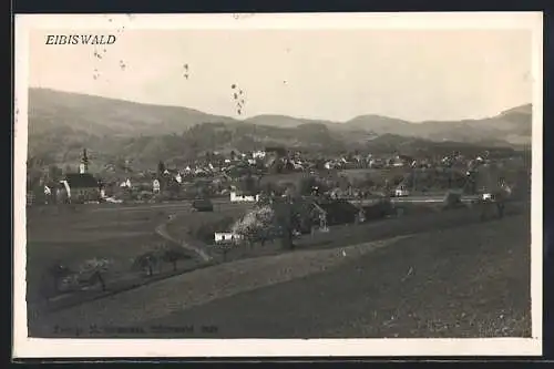 AK Eibiswald, Teilansicht mit Kirche