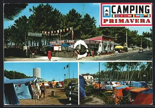 AK Marina di Massa, Camping Primavera