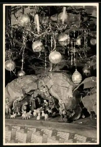 Fotografie Weihnachten, Krippenspiel unter einem Weihnachtsbaum