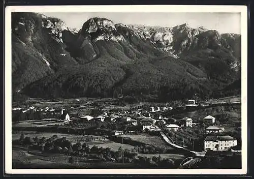AK Dimaro /Trentino, Ortsansicht gegen Bergpanorama