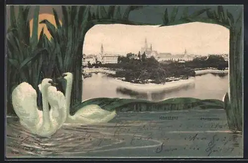 AK Konstanz, Stadtgarten mit Schwanendekor