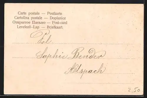 AK Freiburg / Breisgau, Partie am Waldsee