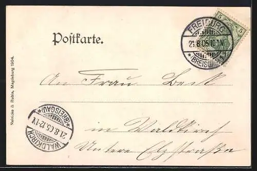 AK Freiburg i. B., Partie am Waldsee