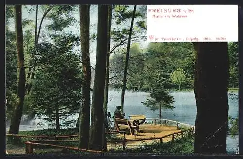 AK Freiburg i. Br., Partie am Waldsee