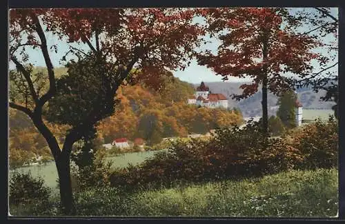AK Liebstadt / Sa., Blick zum Schloss Kuckuckstein