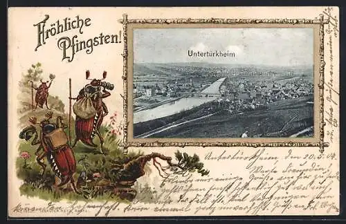 Passepartout-Lithographie Untertürkheim, Maikäfer auf Wanderung