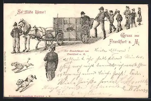 Lithographie Frankfurt a. M., Der Hundefänger, Stadttyp