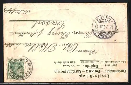 Passepartout-Lithographie Metzingen / Württ., Ortspanorama und Flagge mit Wappen