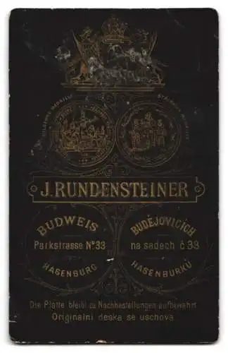 Fotografie J. Rundensteiner, Budweis, Parkstrasse 33, Niedliches Kleinkind in weissem Kleid