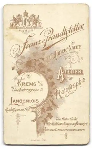 Fotografie Franz v. Prandtstetter, Krems a. D., Dachsberggasse 5, Bürgerlicher mit Schnauzbart im Halbprofil