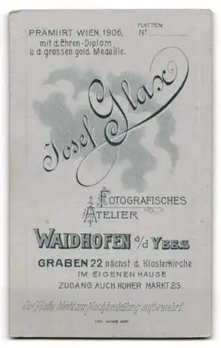 Fotografie Josef Glax, Waidhofen a. d. Ybbs, Graben 22, Bürgerliche in hochgeschlossenem Kleid und Ohrringen