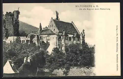 AK Miltenberg a. M., alte Burg