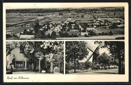 AK Eilhausen / Lübbecke, Gasthaus, Windmühle und Ortsansicht