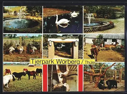 AK Thüle / Cloppenburg, Tierpark-Cafe Worberg, Bären, Affen