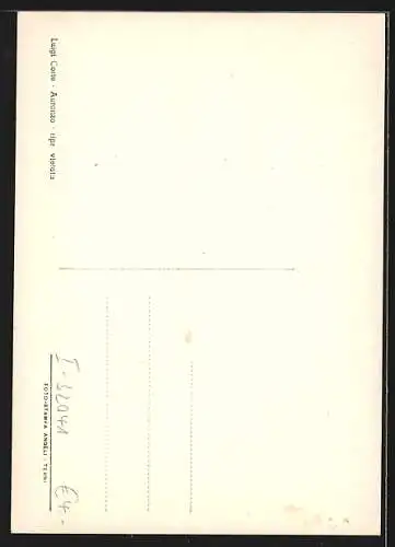 AK Auronzo di Cadore, Ortsansicht aus der Vogelschau