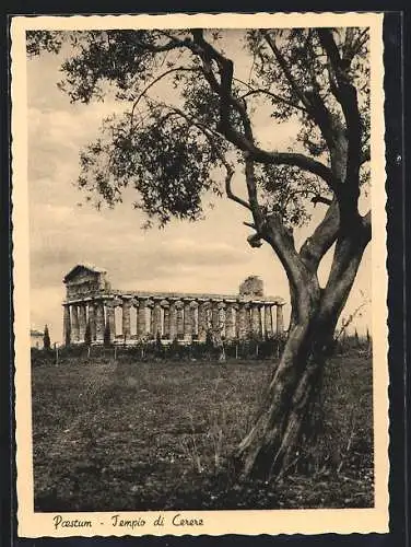 AK Paestum, Tempio di Cerere