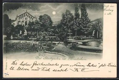 AK Freiburg i. B., Stadtgarten im Mondschein