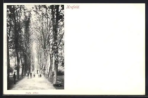 AK Krefeld, Blick in die Park Allee