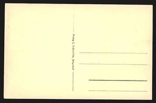 AK Friedrichsruh, Partie beim Schloss