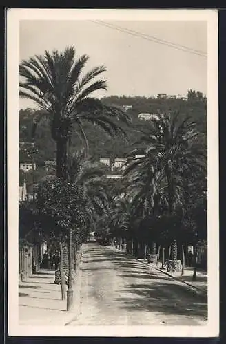 AK Nervi, Viale delle Palme