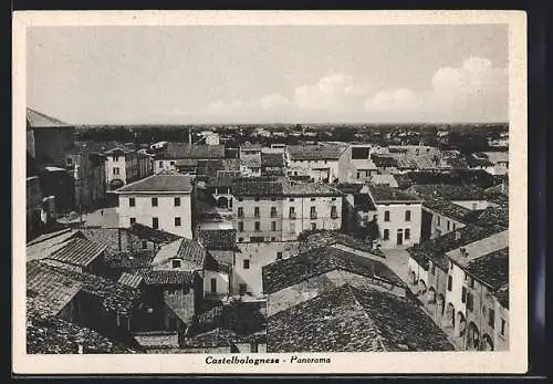 AK Castelbolognese, Panorama