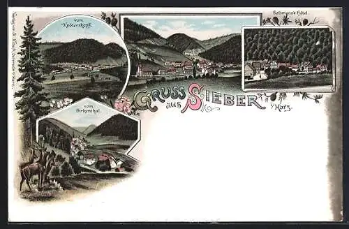 Lithographie Sieber i. Harz, Hotel Bethmann, Teilansichten vom Birkenthal und vom Knöterskopf