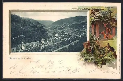 Passepartout-Lithographie Calw, Ortsansicht aus der Vogelschau, Waldlichtung