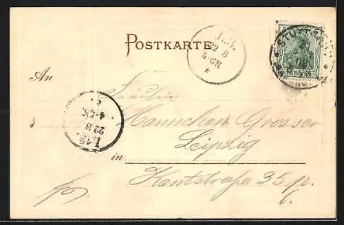 Passepartout-Lithographie Calw, Ortsansicht aus der Vogelschau, Waldlichtung