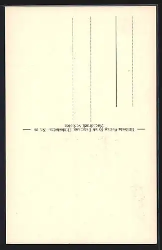 AK Braunschweig, Löwe, Fachwerkhäuser