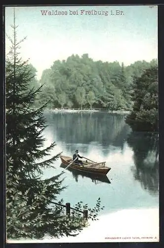 AK Freiburg / Breisgau, Blick auf Waldsee