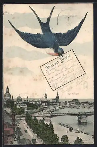 AK Dresden, Ortsansicht mit Brücke und Hofpoper, Briefschwalbe