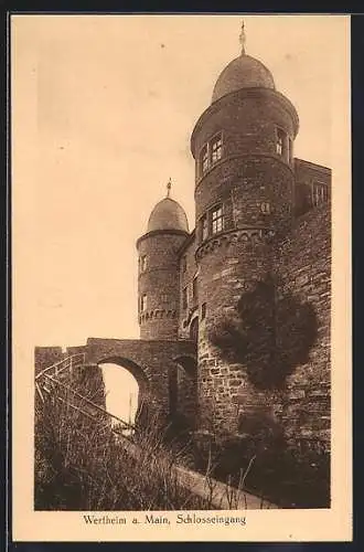 AK Wertheim a. M., Am Schlosseingang