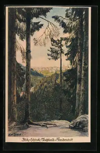 Künstler-AK Freudenstadt, Blick vom Schöneck im Teuchelwald auf den Ort