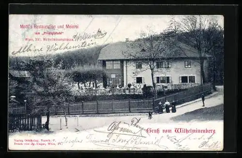 AK Wien, Mottl`s Restaurant und Meierei am Predigtstuhl, Wilhelminenstrasse