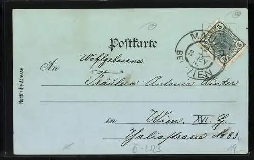Mondschein-Lithographie Mauer b. Wien, Gemeindehaus, Handlung J. B. Winterstein, Ortsansicht