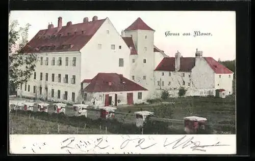 AK Wien-Mauer, Ansicht der Kaserne